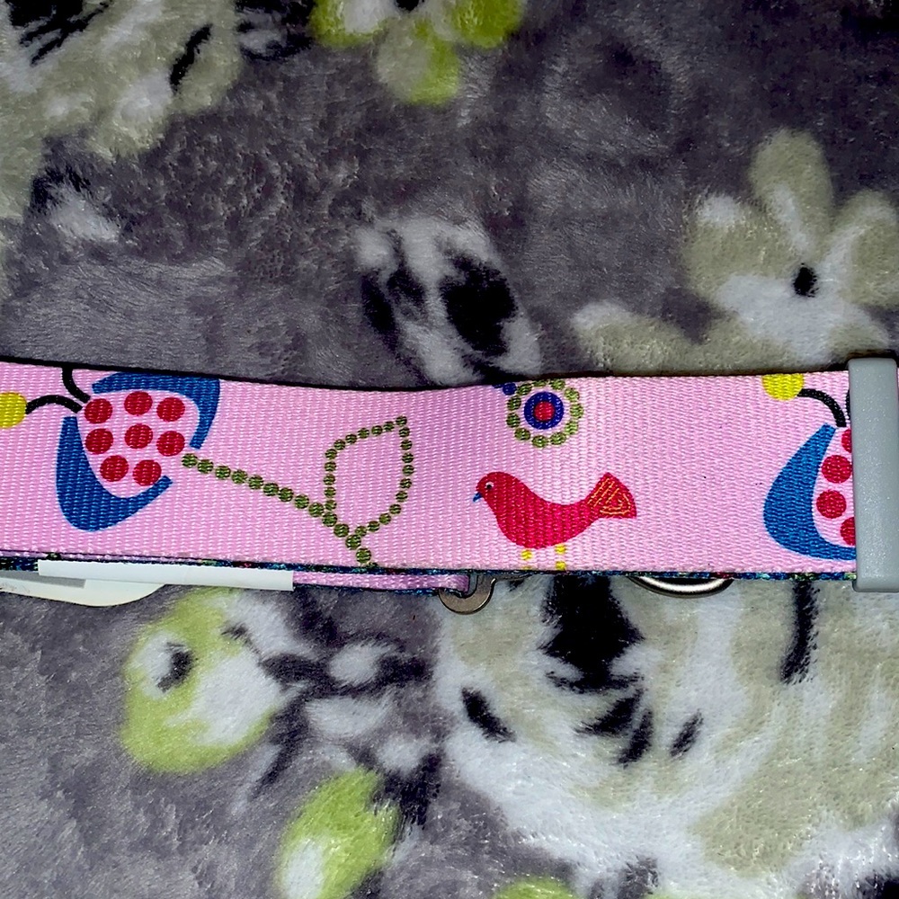 Collar